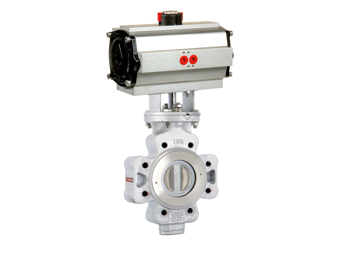 Carbon steel double offset butterfly valve 1117 DN50 + ADA40